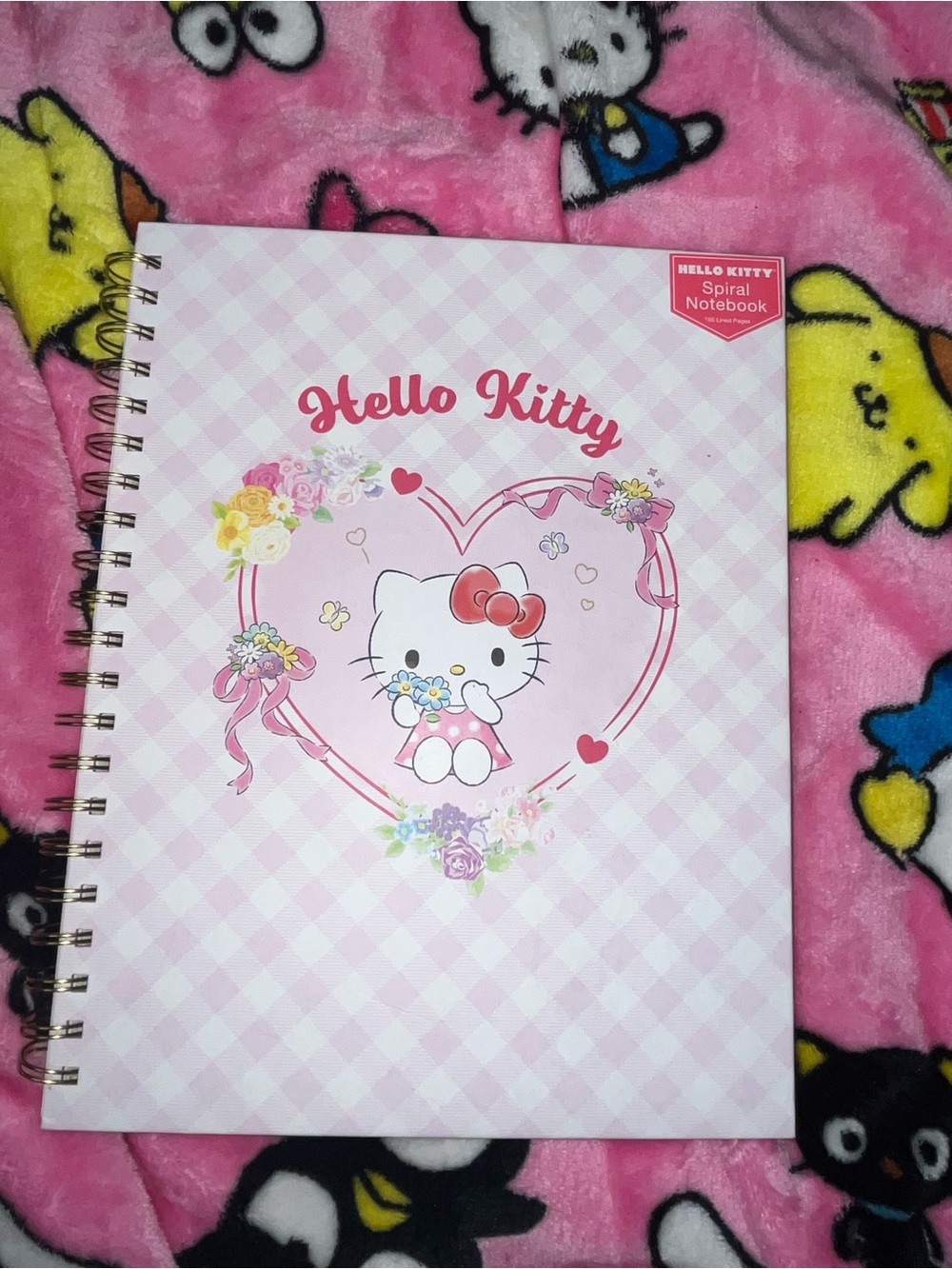 Hello Kitty Spiral Notebook Sz Large 160 lined pages NEW NWT